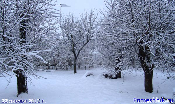 Зима 2012 Фото